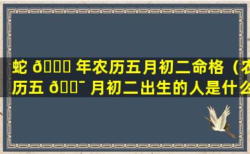 蛇 🐕 年农历五月初二命格（农历五 🐯 月初二出生的人是什么星座）